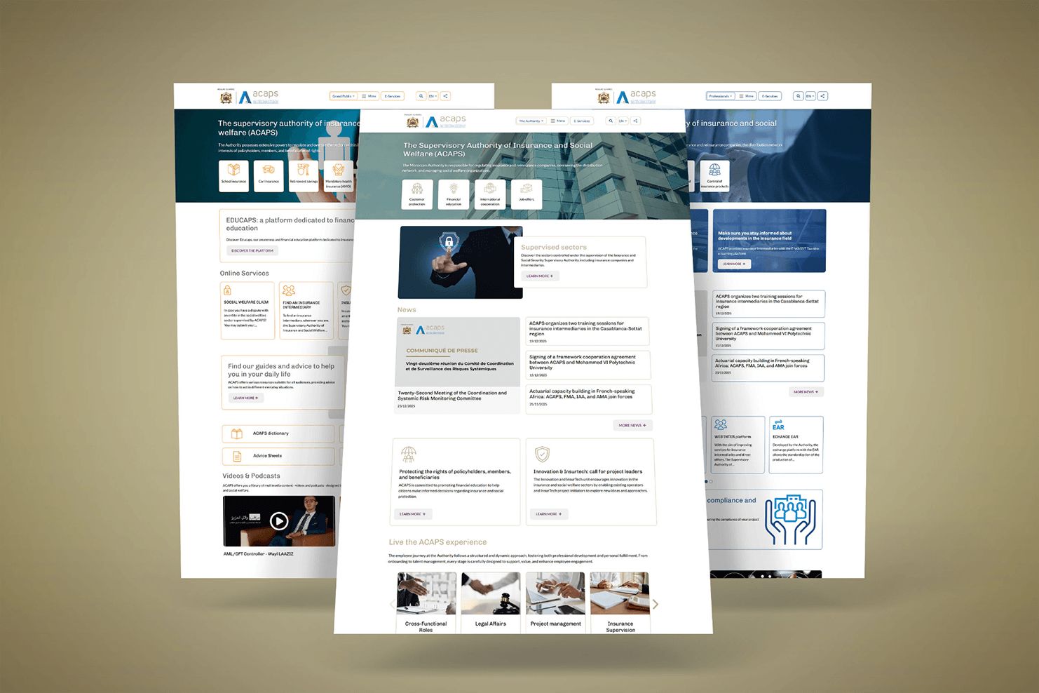 Capture d’écran du site ACAPS, aperçu 2