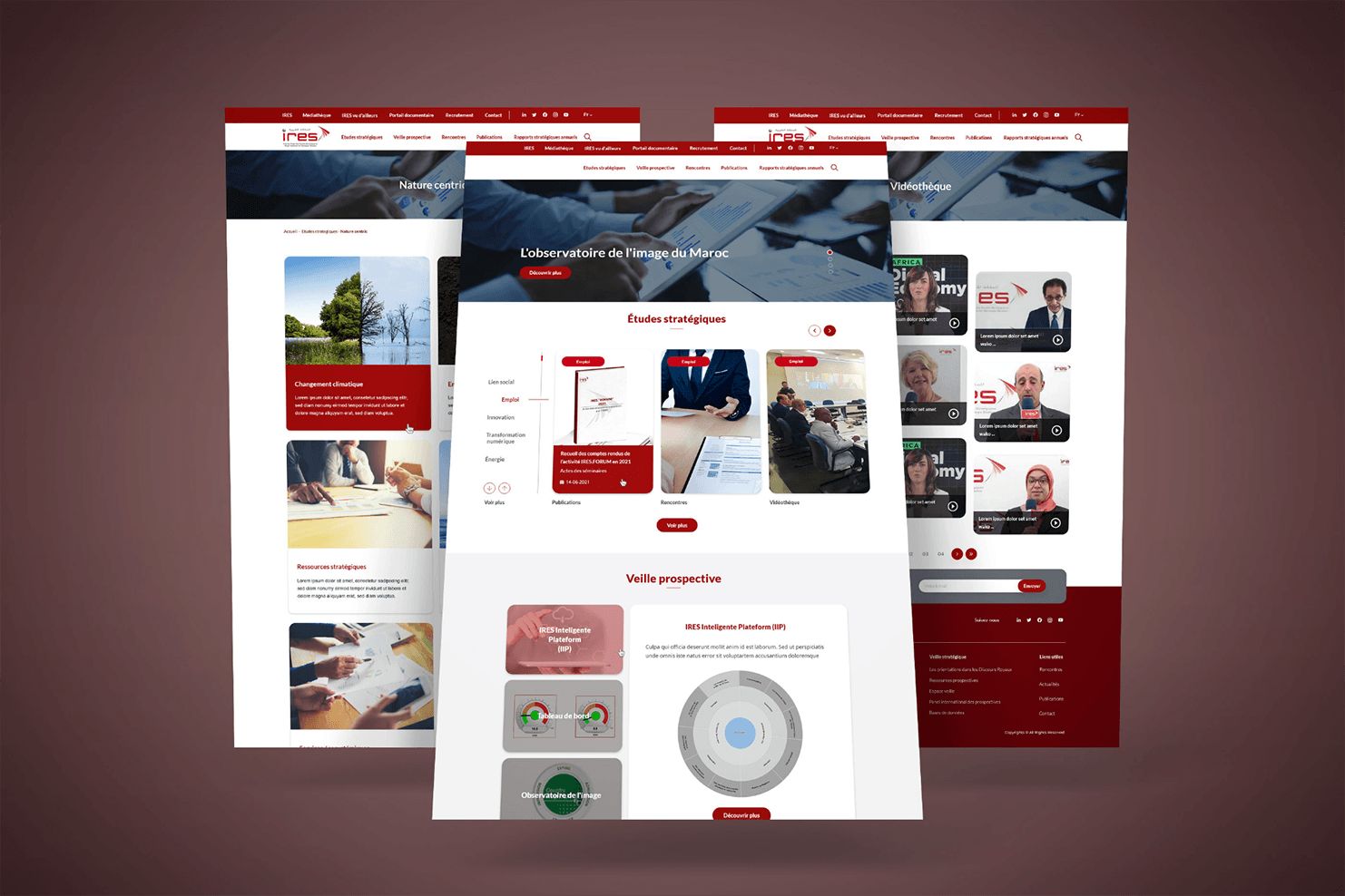 Capture d’écran du site IRES, aperçu 2